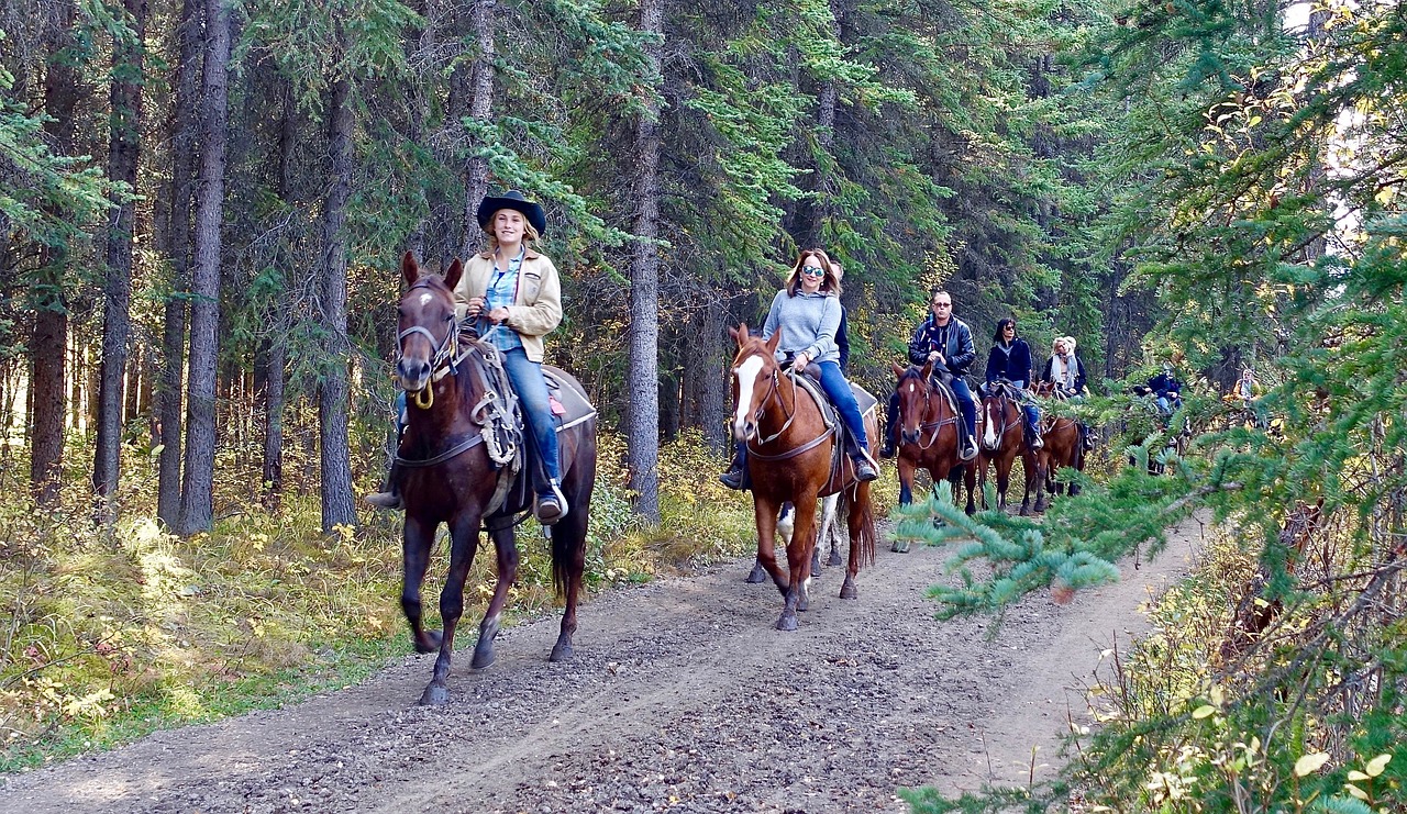 riding, horses, horse riding-1935051.jpg